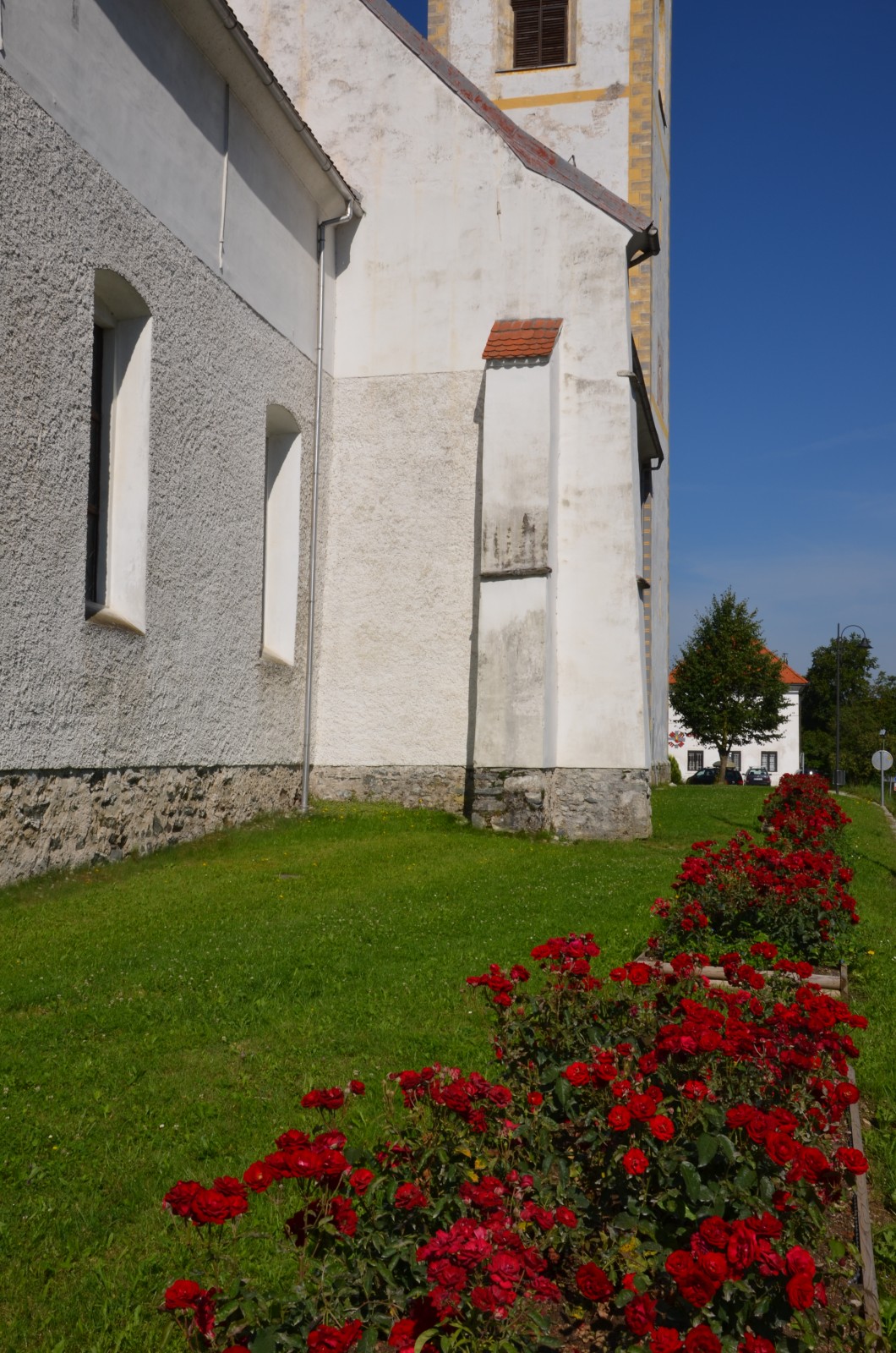 Avenija vrtnic pri farni cerkvi v Dravogradu
