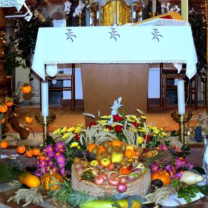 ZAHVALA župnijske Karitas Šentjanž ob zahvalni nedelji