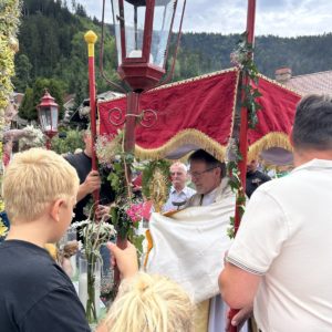 Lepa nedelja na Viču 2026